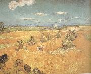 Wheat Stacks wtih Reaper (nn04), Vincent Van Gogh